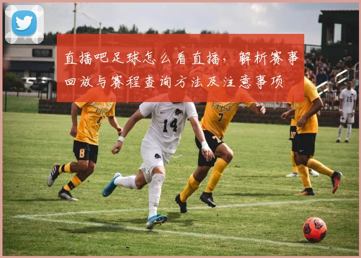 直播吧足球怎么看直播，解析赛事回放与赛程查询方法及注意事项